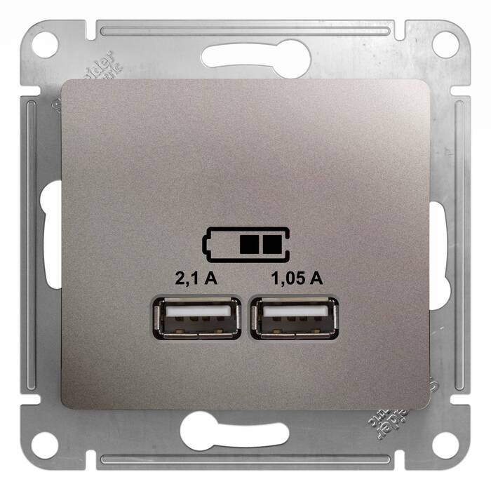 Розетка 2xUSB Schneider Electric GLOSSA, скрытый монтаж, платина, GSL001233